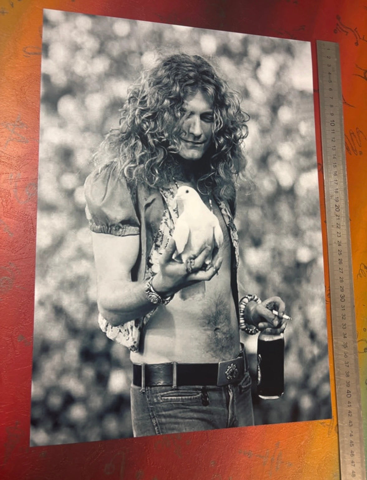 ROBERT PLANT - LED ZEPPELIN - Symbios Design Rare Glossy Poster Print