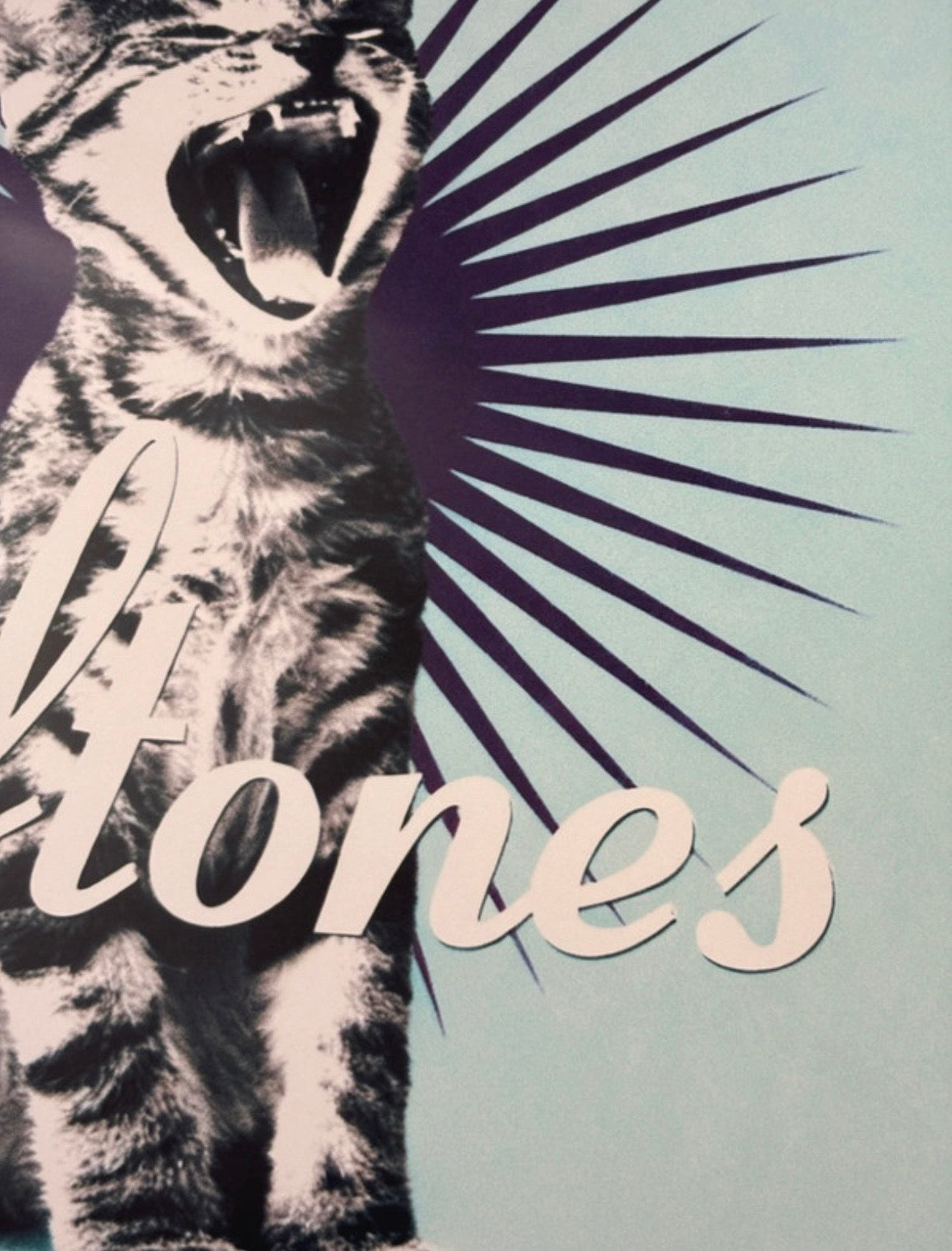 DEFTONES - BORED - Symbios Design Rare Glossy Poster Print