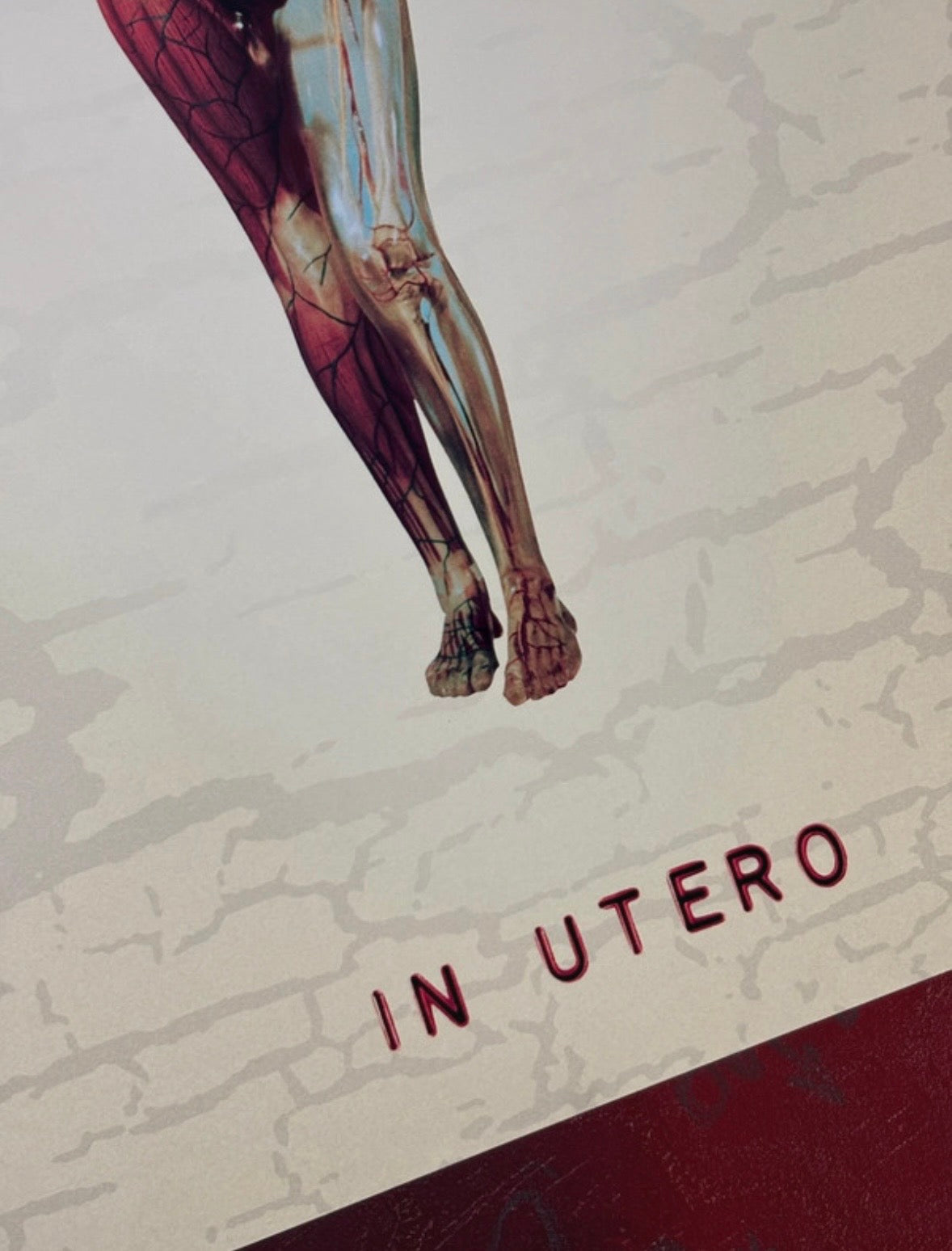 NIRVANA - IN UTERO - Symbios Design Rare Glossy Poster Print