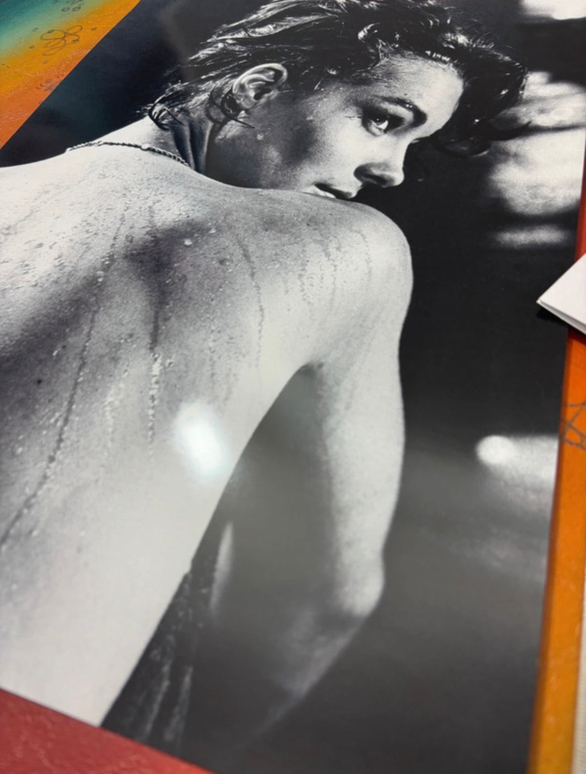 ROMY SCHNEIDER - Symbios Design Rare Glossy Poster Print
