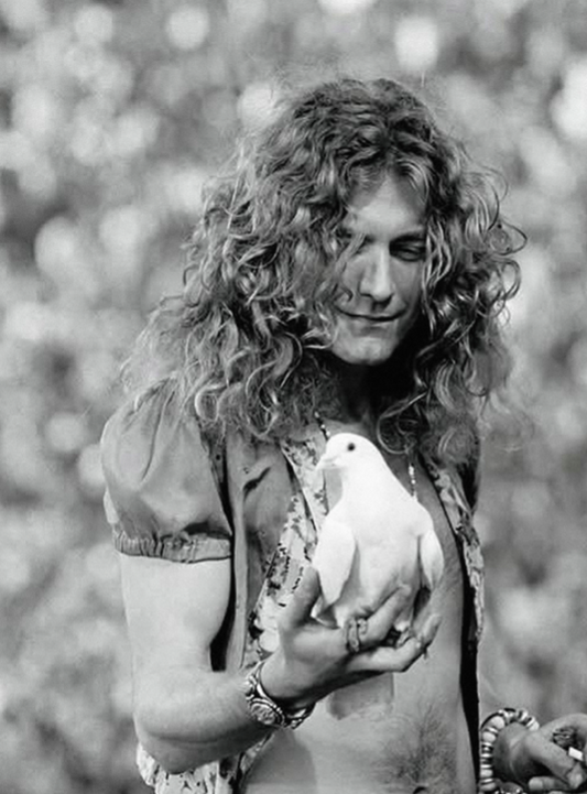 ROBERT PLANT - LED ZEPPELIN - Symbios Design Rare Glossy Poster Print