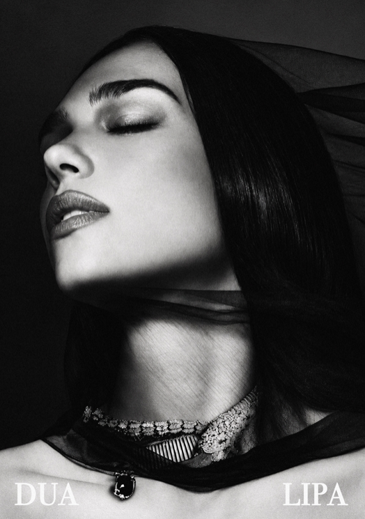 DUA LIPA - PORTRAIT - Symbios Design Rare Glossy Poster Print