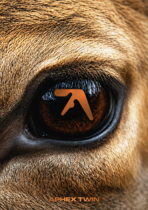 APHEX TWIN - DEER - Symbios Design Rare Glossy Poster Print