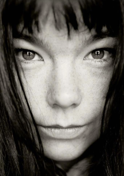 BJORK - PORTRAIT II - Symbios Design Rare Glossy Poster Print