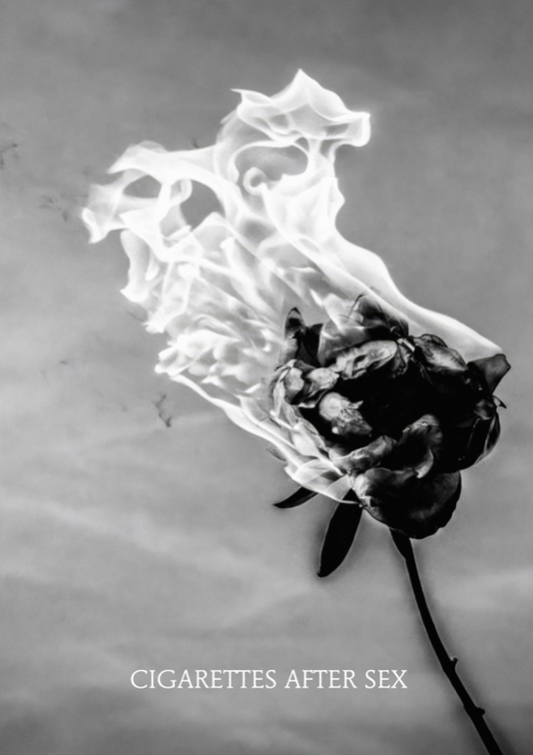 CIGARETTES AFTER SEX - BURNING ROSE - Symbios Design Rare Glossy Poster Print