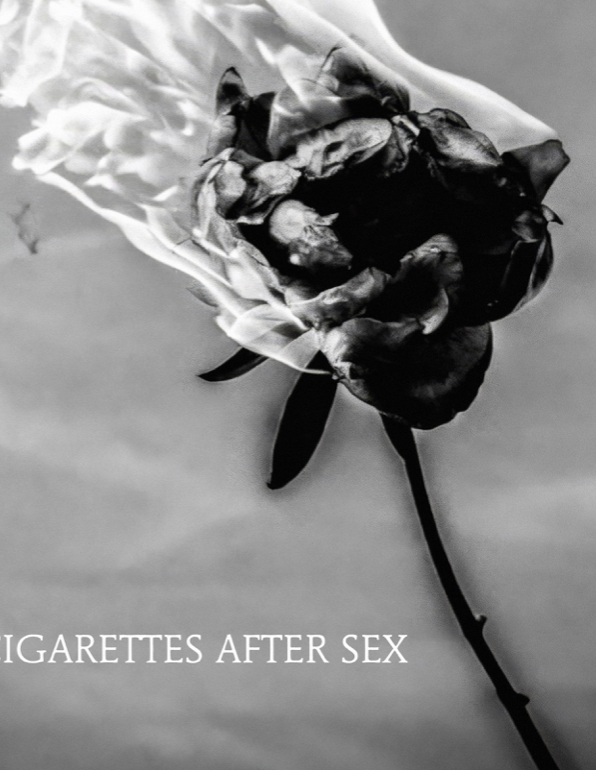 CIGARETTES AFTER SEX - BURNING ROSE - Symbios Design Rare Glossy Poster Print