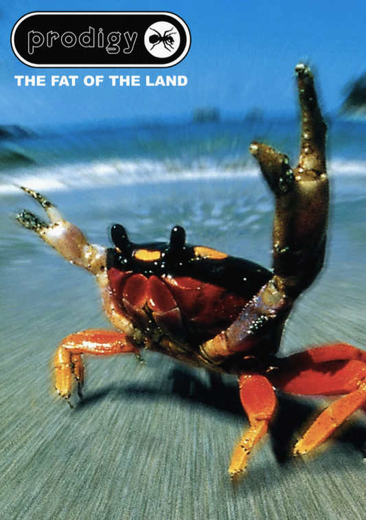 THE PRODIGY - FAT OF THE LAND - Symbios Design Rare Glossy Poster Print