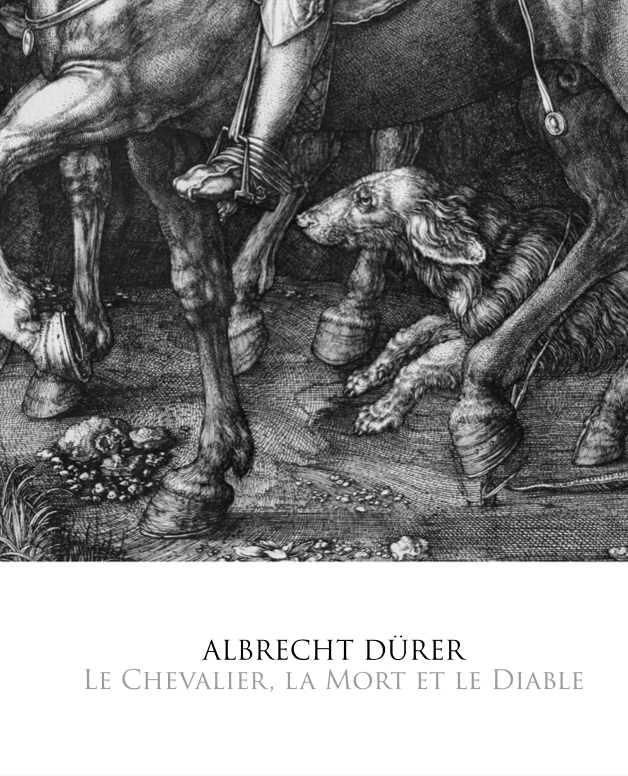 ALBRECHT DURER - Symbios Design Rare Glossy Poster Print