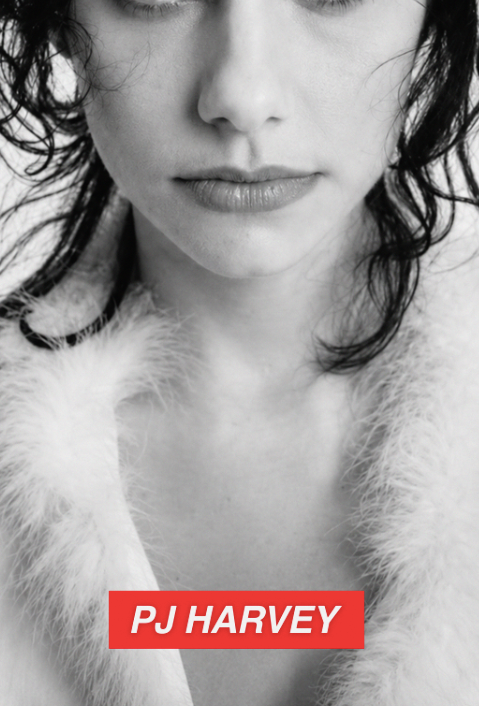 PJ HARVEY - 90'S - Symbios Design Rare Glossy Poster Print