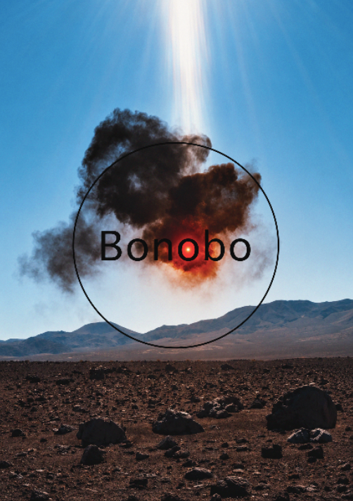BONOBO - Symbios Design Rare Glossy Poster Print