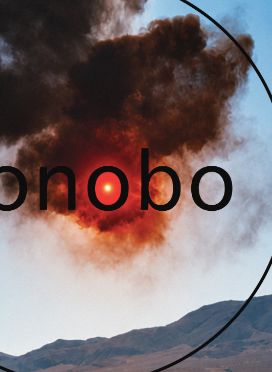 BONOBO - Symbios Design Rare Glossy Poster Print