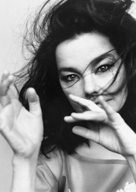 BJORK - PORTRAIT - Symbios Design Rare Glossy Poster Print