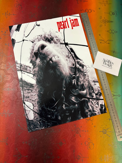 PEARL JAM - VS - Symbios Design - Rare Glossy Print