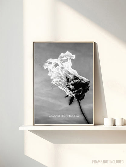CIGARETTES AFTER SEX - BURNING ROSE - Symbios Design Rare Glossy Poster Print