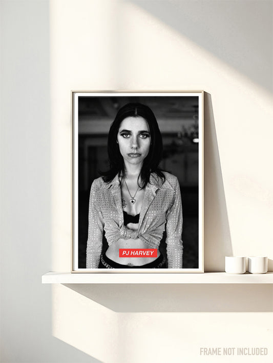 PJ HARVEY - 90'S  - Symbios Design Rare Glossy Poster Print