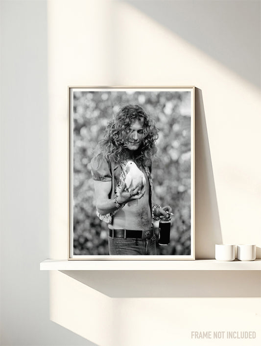 ROBERT PLANT - LED ZEPPELIN - Symbios Design Rare Glossy Poster Print