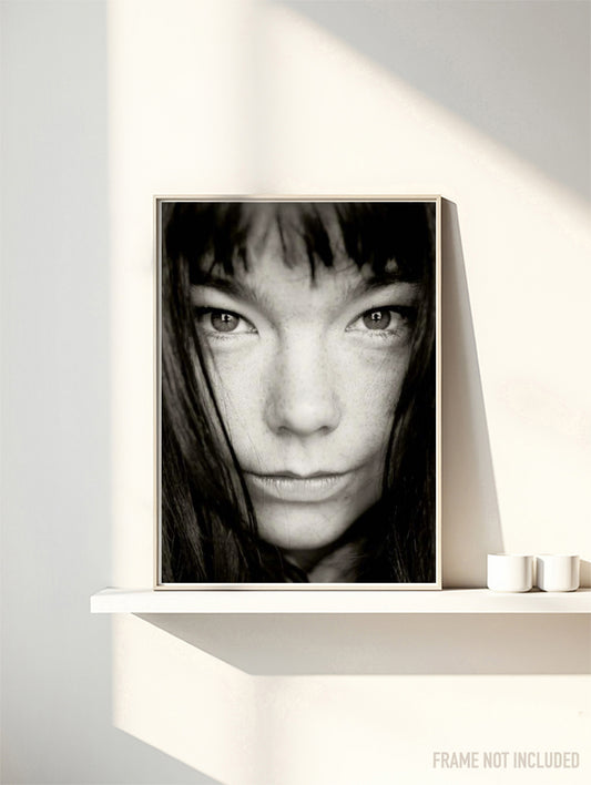 BJORK - PORTRAIT II - Symbios Design Rare Glossy Poster Print