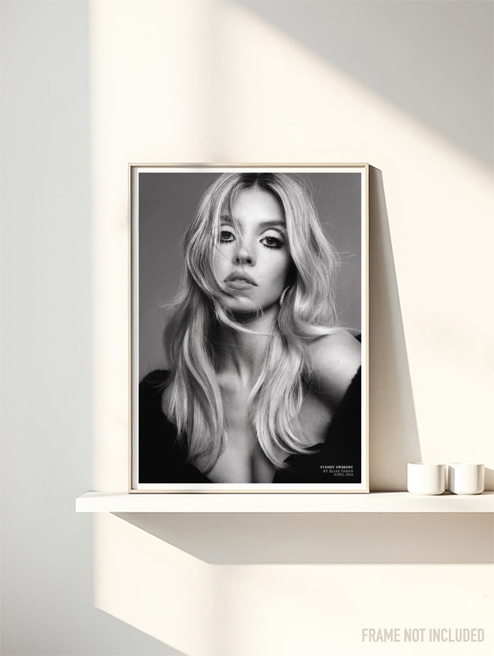 SYDNEY SWEENEY - Symbios Design Rare Glossy Poster Print