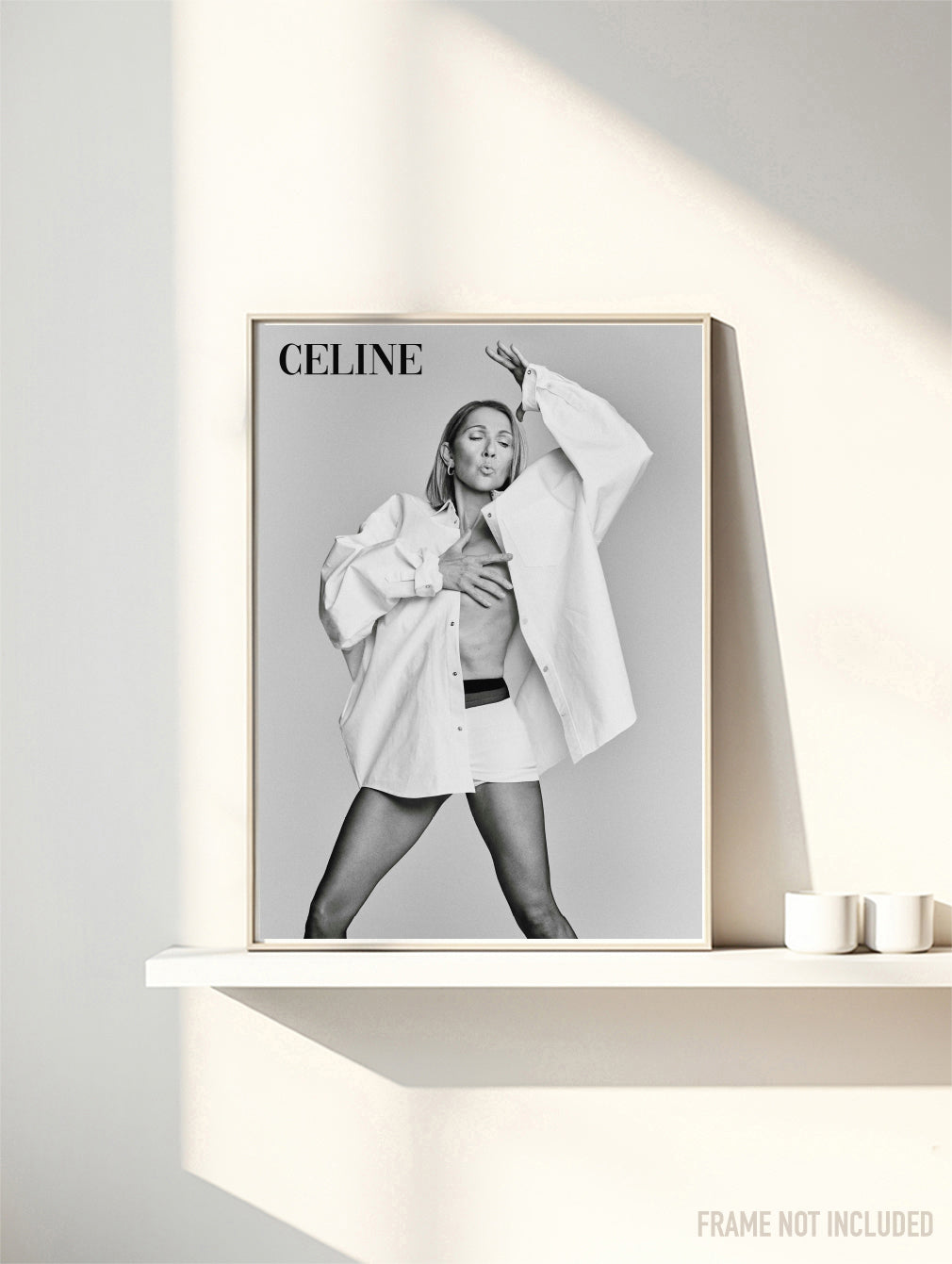 CELINE DION - Symbios Design Rare Glossy Poster Print