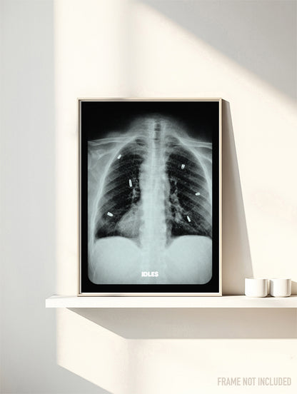 IDLES - CAUGHT STEALING - Symbios Design Rare Glossy Poster Print