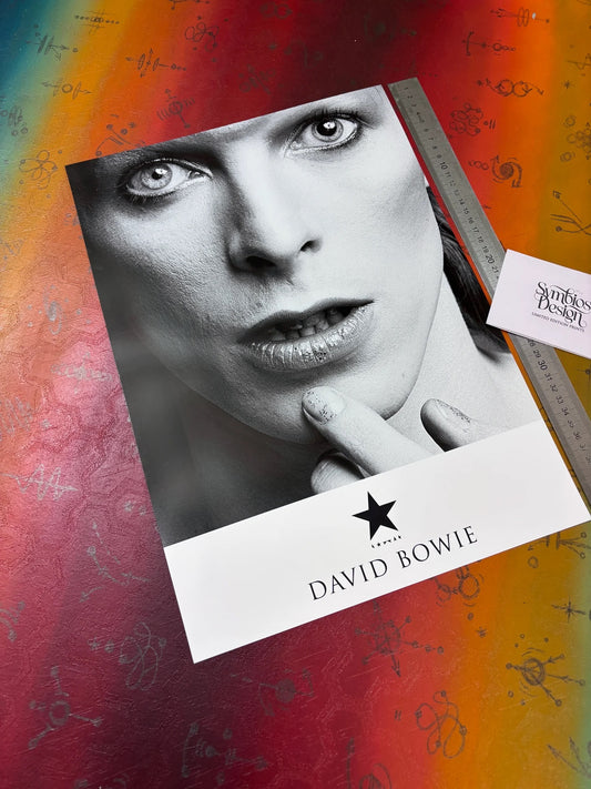 DAVID BOWIE - CLASSIC PORTRAIT  - Symbios Design - Rare Glossy Print