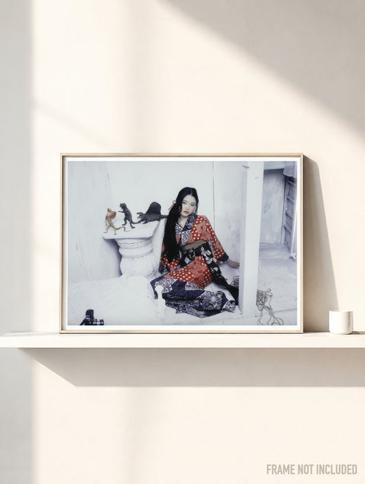ARAKI - Symbios Design Rare Glossy Poster Print