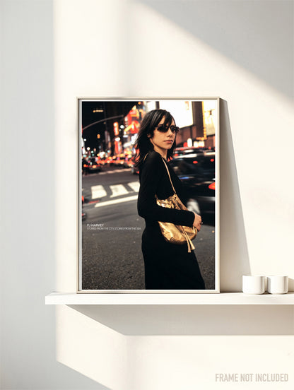 PJ HARVEY - STORIES - Symbios Design Rare Glossy Poster Print