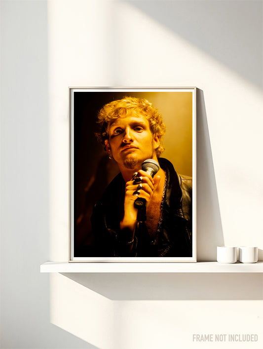 ALICE IN CHAINS - LAYNE STALEY - Symbios Design Rare Glossy Poster Print