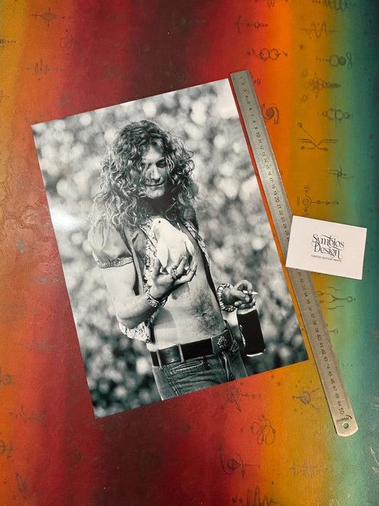 LED ZEPPELIN - ROBERT PLANT - Symbios Design - Rare Glossy Print