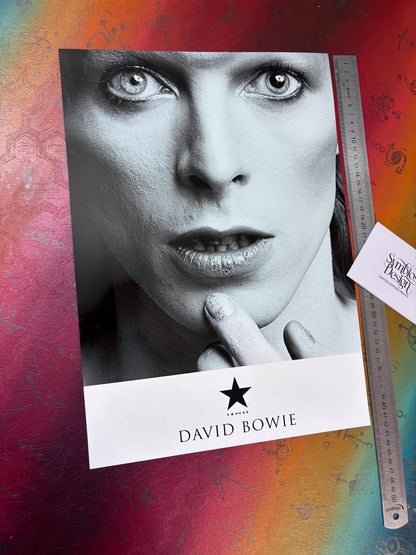 DAVID BOWIE - CLASSIC PORTRAIT  - Symbios Design - Rare Glossy Print