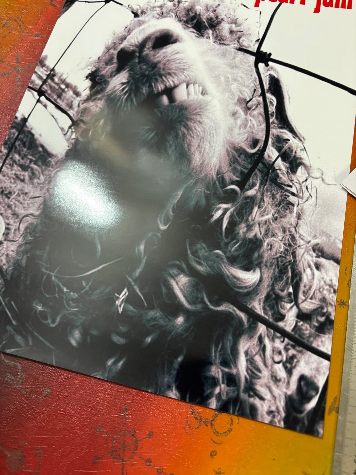 PEARL JAM - VS - Symbios Design - Rare Glossy Print