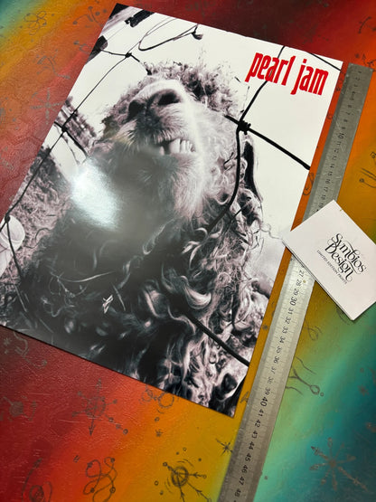 PEARL JAM - VS - Symbios Design - Rare Glossy Print