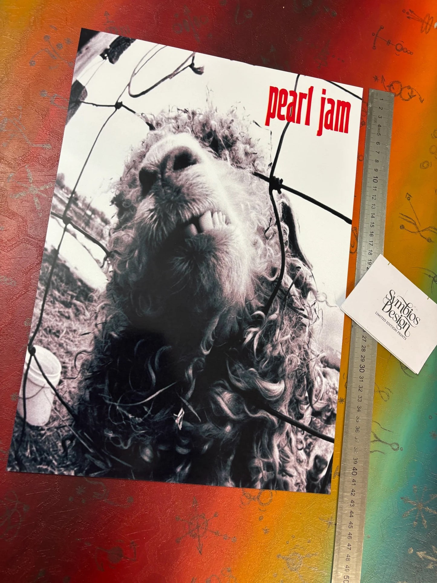 PEARL JAM - VS - Symbios Design - Rare Glossy Print
