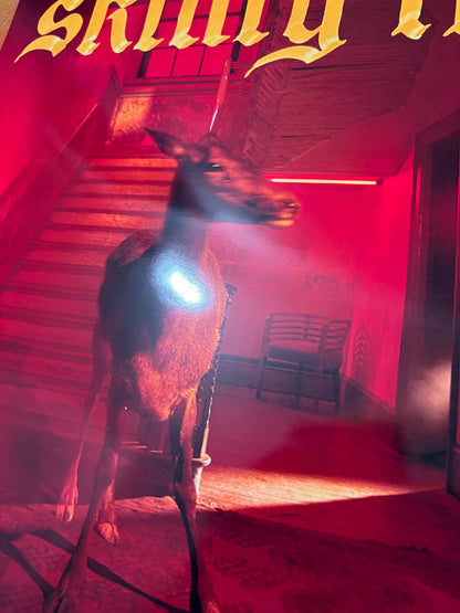 FONTAINES DC - SKINTY FIA  - Symbios Design - Rare Glossy Print