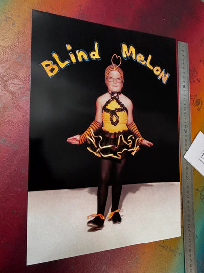 BLIND MELON  - NO RAIN - Symbios Design - Rare Glossy Print