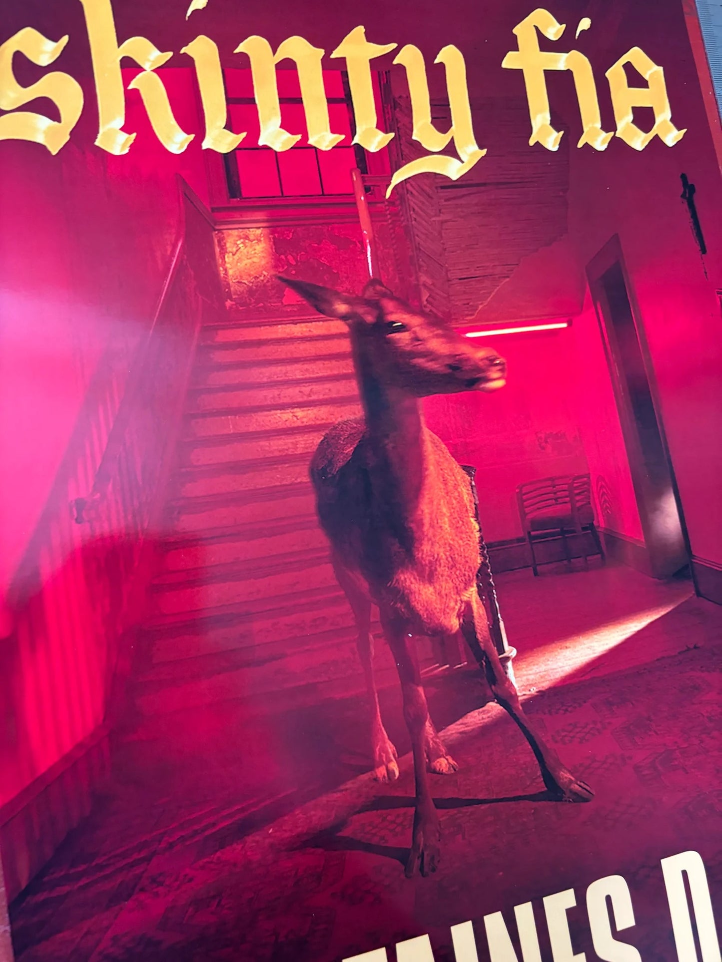 FONTAINES DC - SKINTY FIA  - Symbios Design - Rare Glossy Print