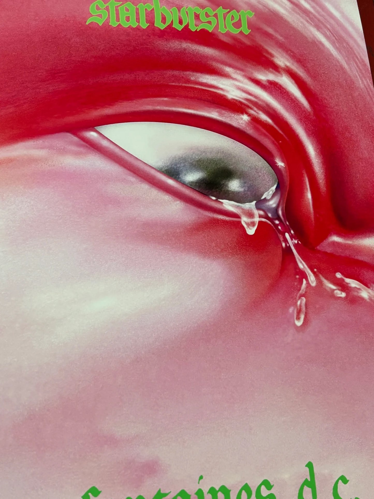 FONTAINES DC - STARBURSTER  - Symbios Design - Rare Glossy Print