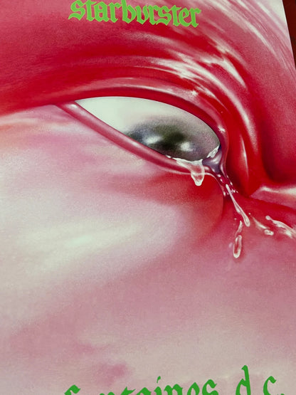 FONTAINES DC - STARBURSTER  - Symbios Design - Rare Glossy Print