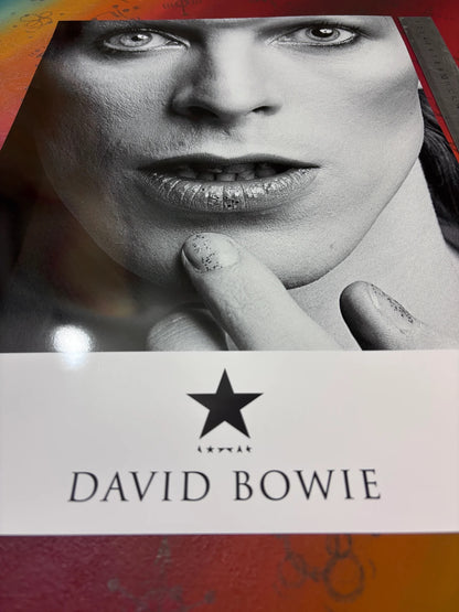 DAVID BOWIE - CLASSIC PORTRAIT  - Symbios Design - Rare Glossy Print
