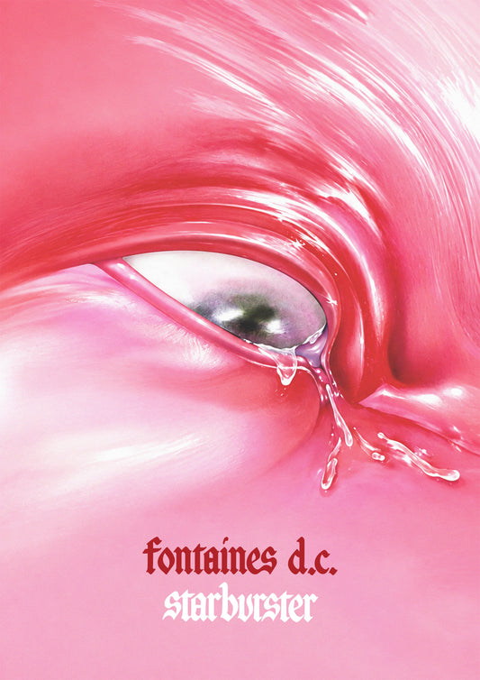 FONTAINES DC - STARBURSTER - Symbios Design Rare Glossy Poster Print