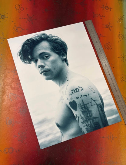 HARRY STYLES - PORTRAIT - Symbios Design Rare Glossy Poster Print