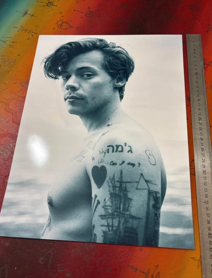 HARRY STYLES - PORTRAIT - Symbios Design Rare Glossy Poster Print