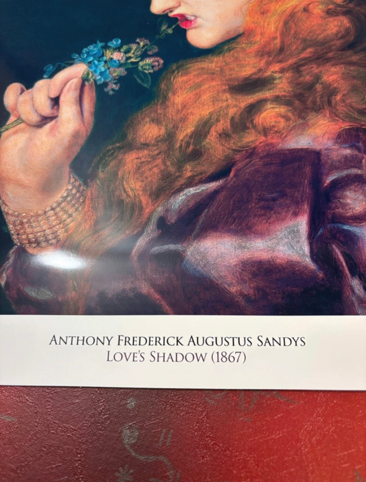 SANDY'S - LOVES SHADOW - Symbios Design Rare Glossy Poster Print