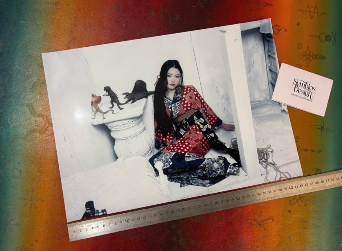 ARAKI - Symbios Design Rare Glossy Poster Print