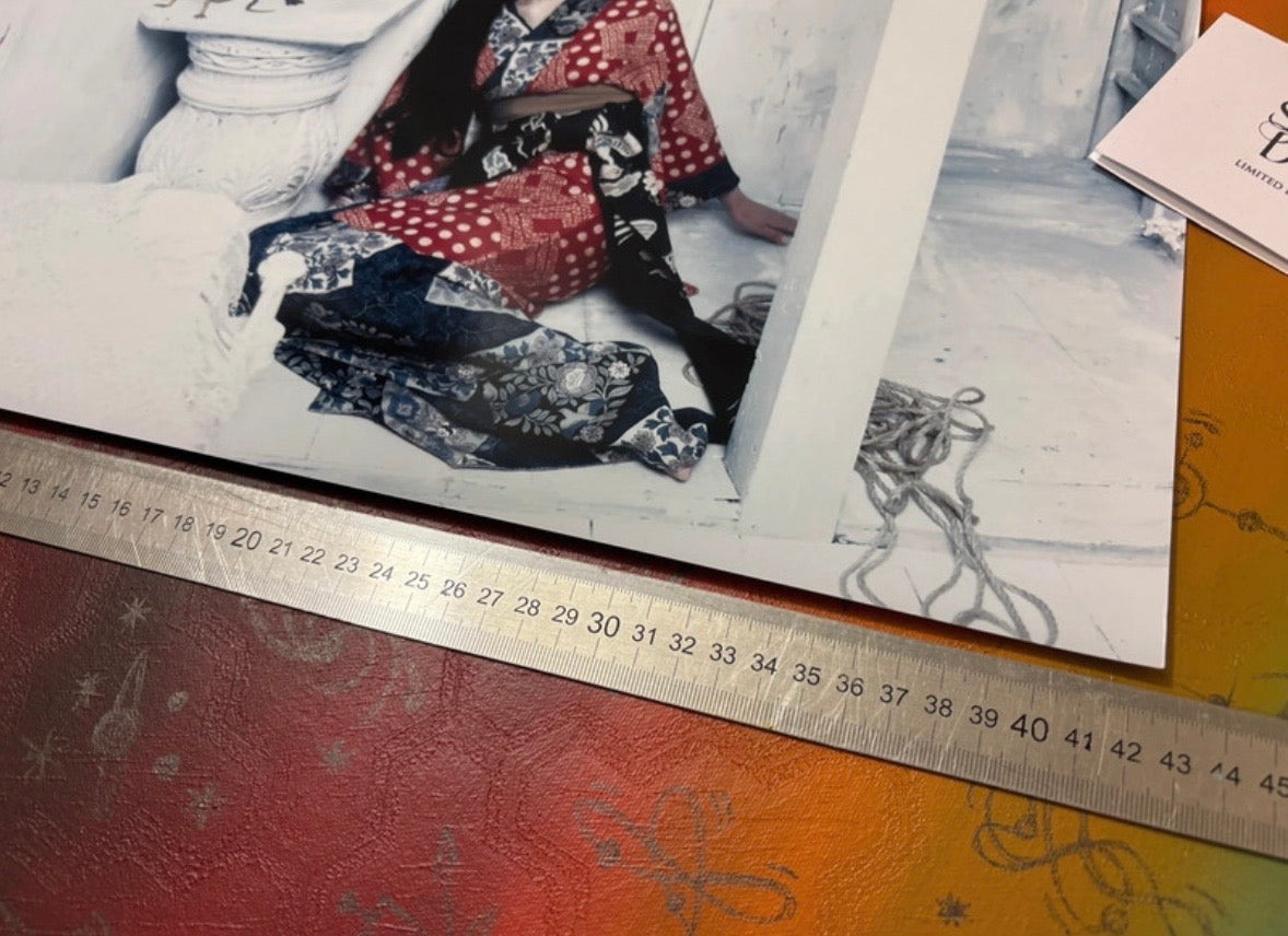 ARAKI - Symbios Design Rare Glossy Poster Print
