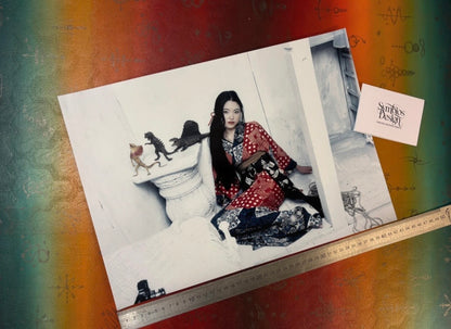 ARAKI - Symbios Design Rare Glossy Poster Print