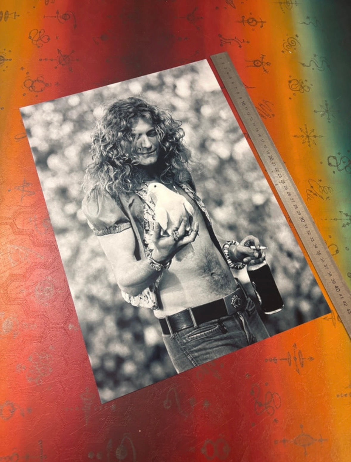 ROBERT PLANT - LED ZEPPELIN - Symbios Design Rare Glossy Poster Print
