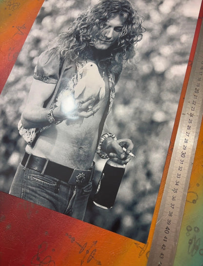ROBERT PLANT - LED ZEPPELIN - Symbios Design Rare Glossy Poster Print