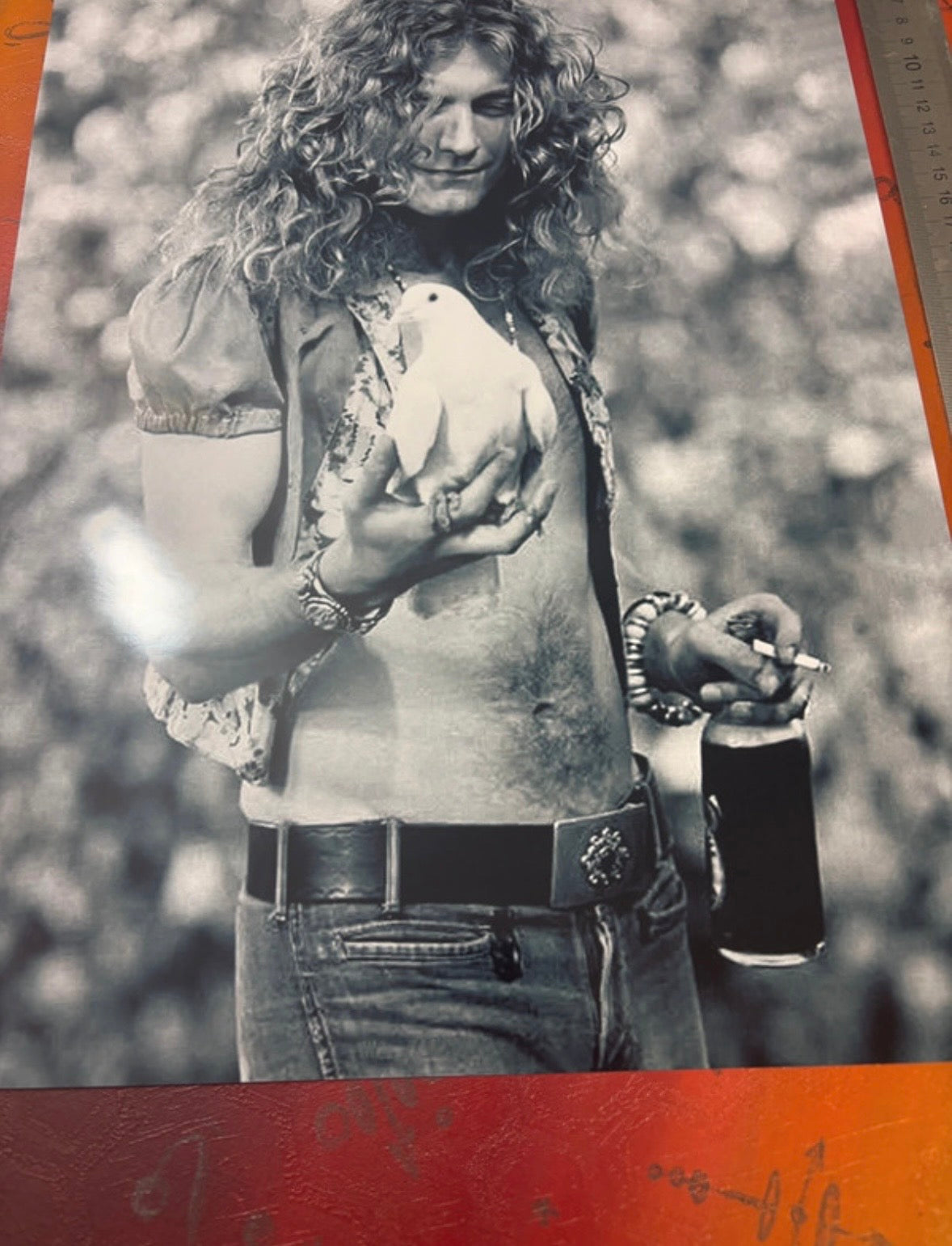 ROBERT PLANT - LED ZEPPELIN - Symbios Design Rare Glossy Poster Print
