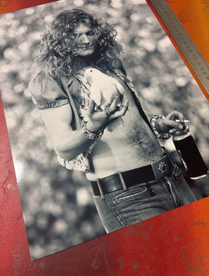 ROBERT PLANT - LED ZEPPELIN - Symbios Design Rare Glossy Poster Print